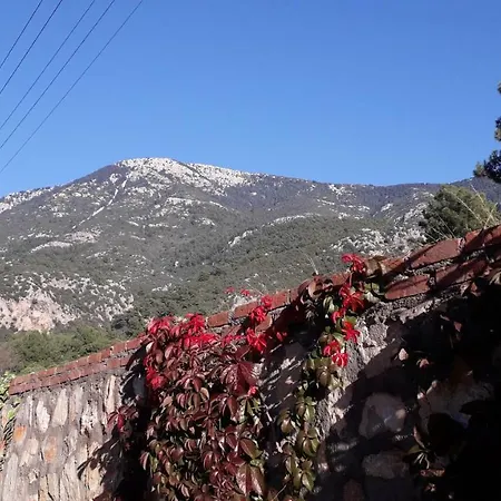 Apartment Orka Gardens F1 Oludeniz